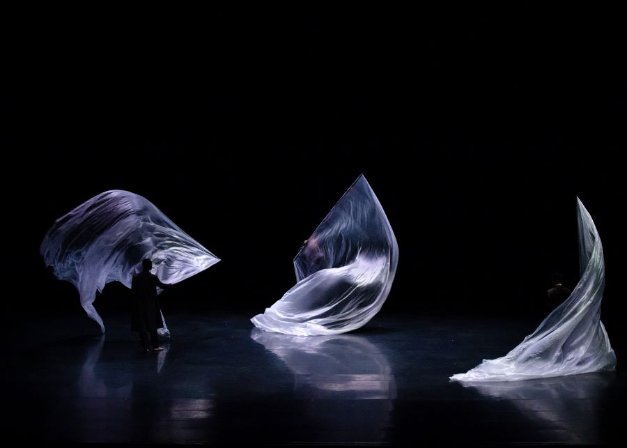 SAO PAULO DANSE COMPNY