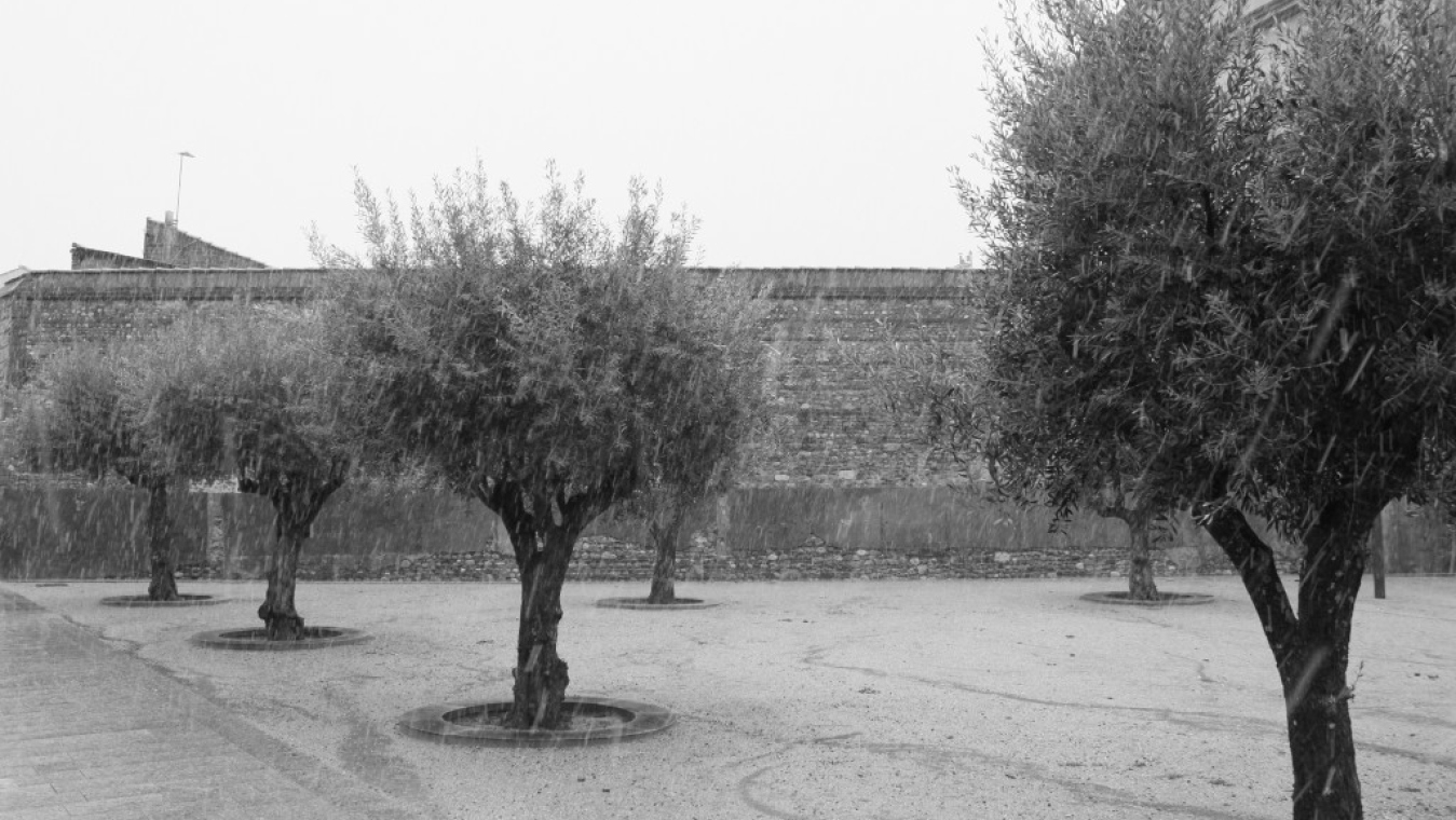 Episode Neigeux 8 mars 2010