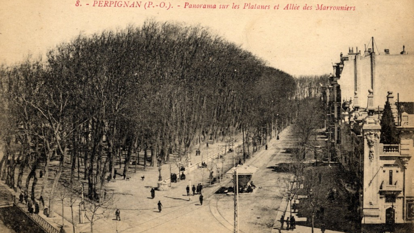 Boulevard Wilson et Promenade des Platanes.