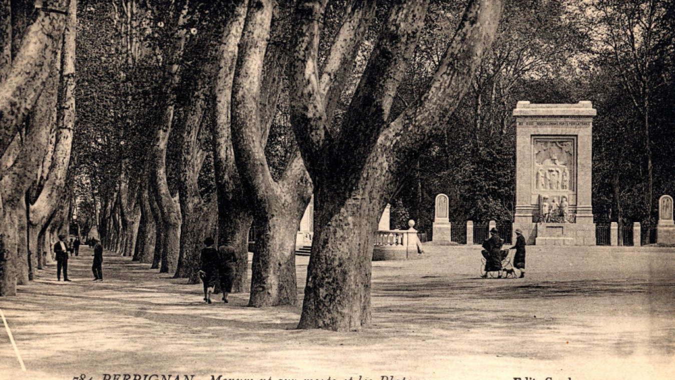 Le monument aux morts et les platanes Perpignan (collection club cartophile catalan)