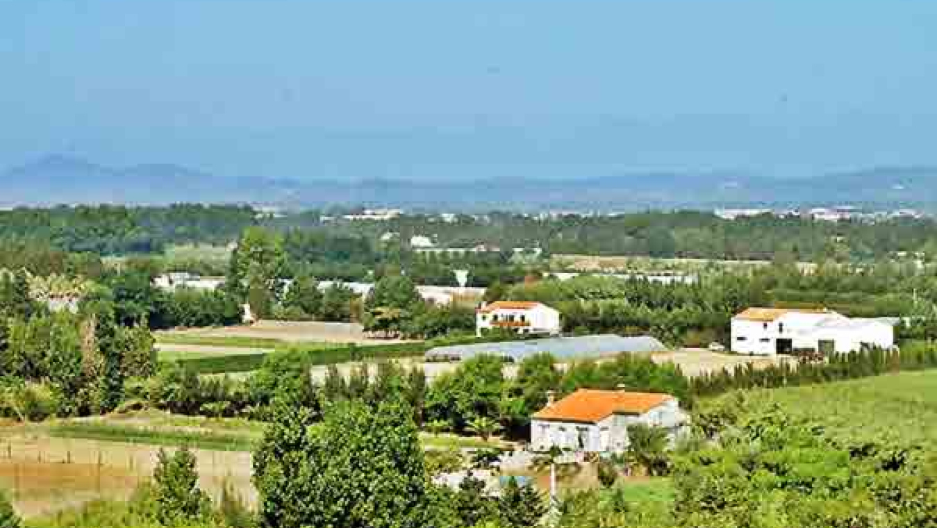 Perpignan, un territoire agricole