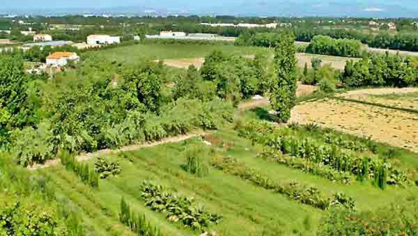 Perpignan, un territoire agricole