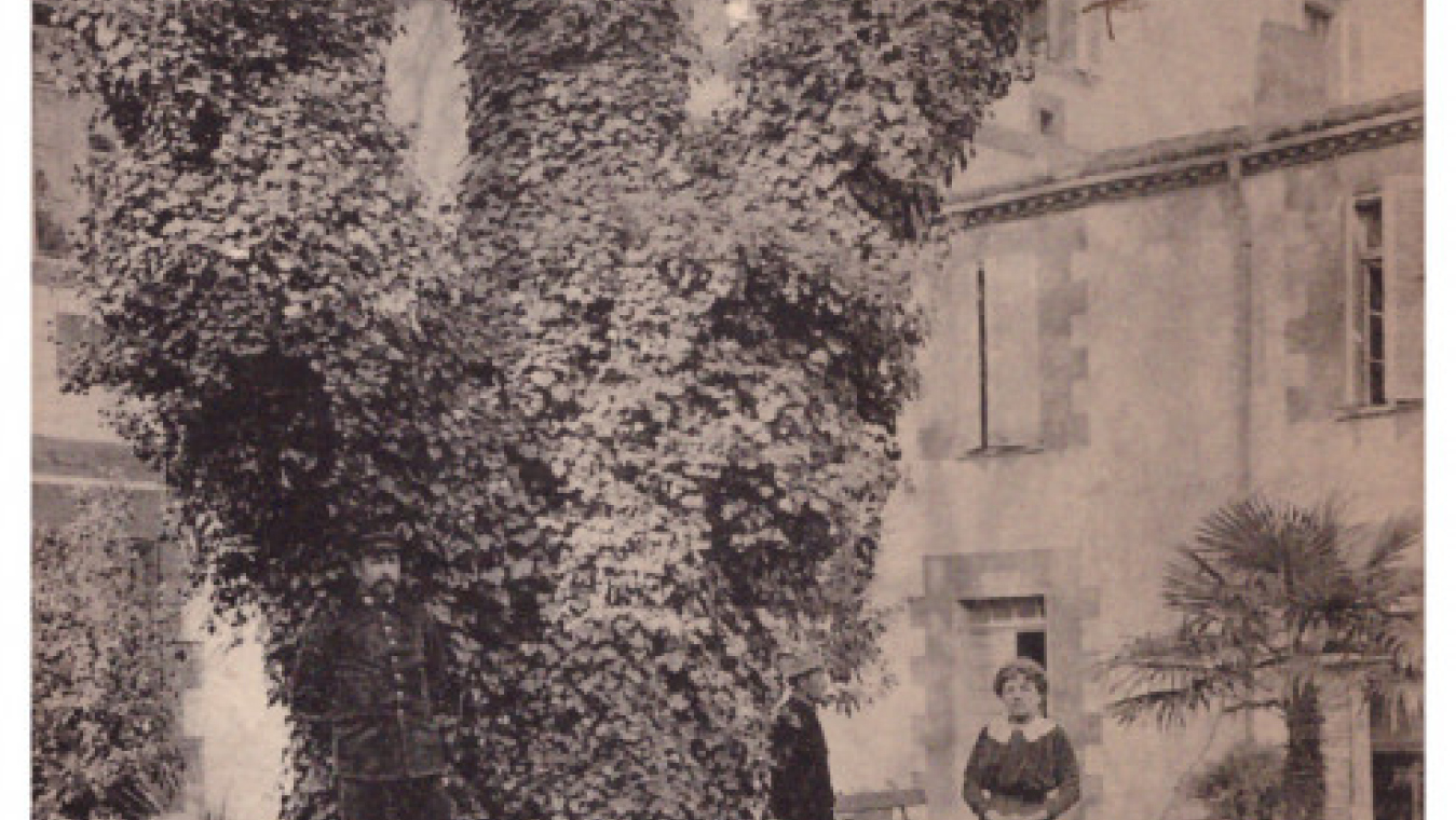 Cour d’honneur et platane centenaire, hôpital militaire, coll. CCC