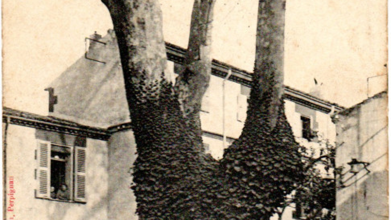 Cour d’honneur et platane centenaire, hôpital militaire, coll. CCC