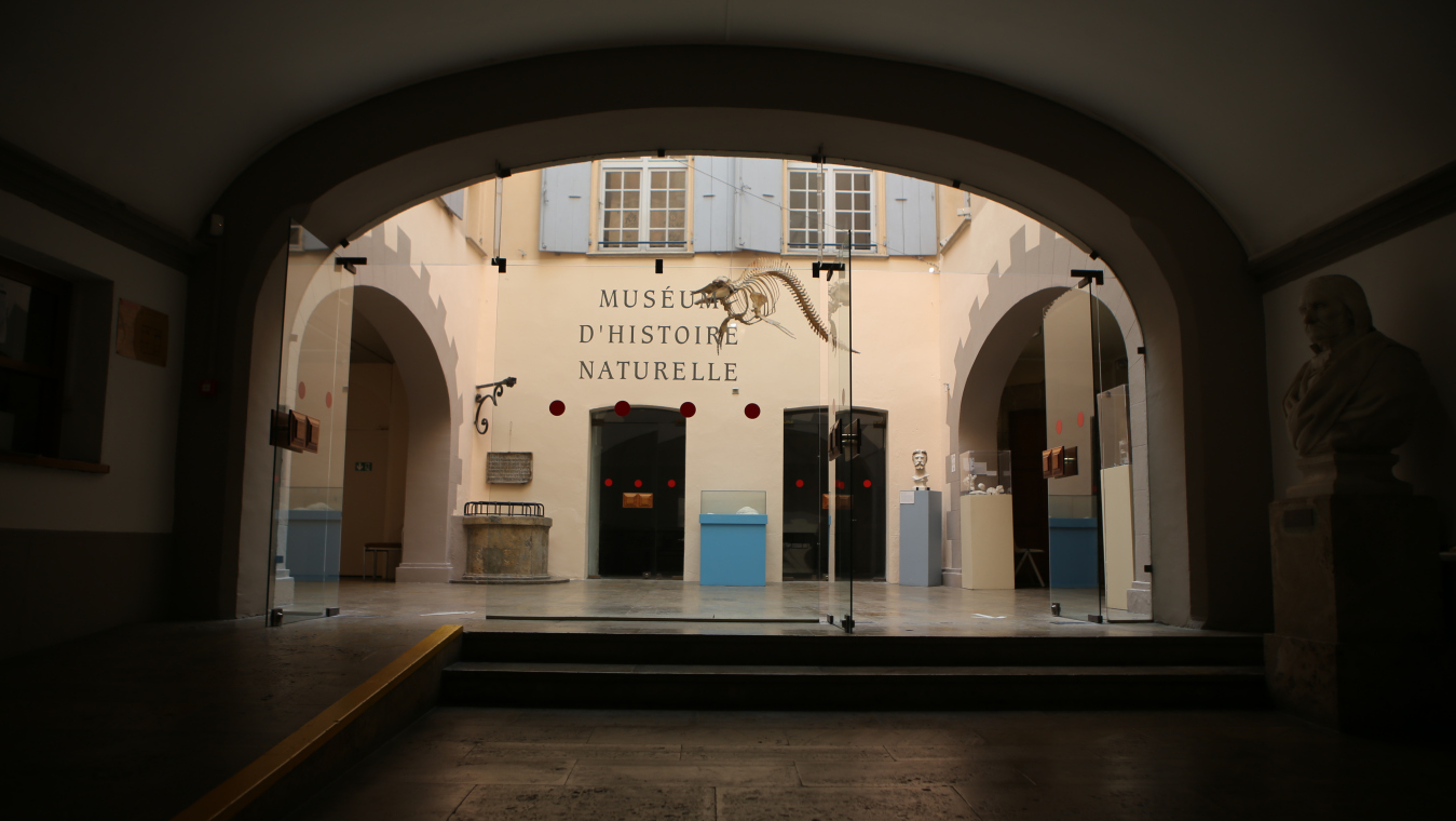 Museum d'Histoire Naturelle