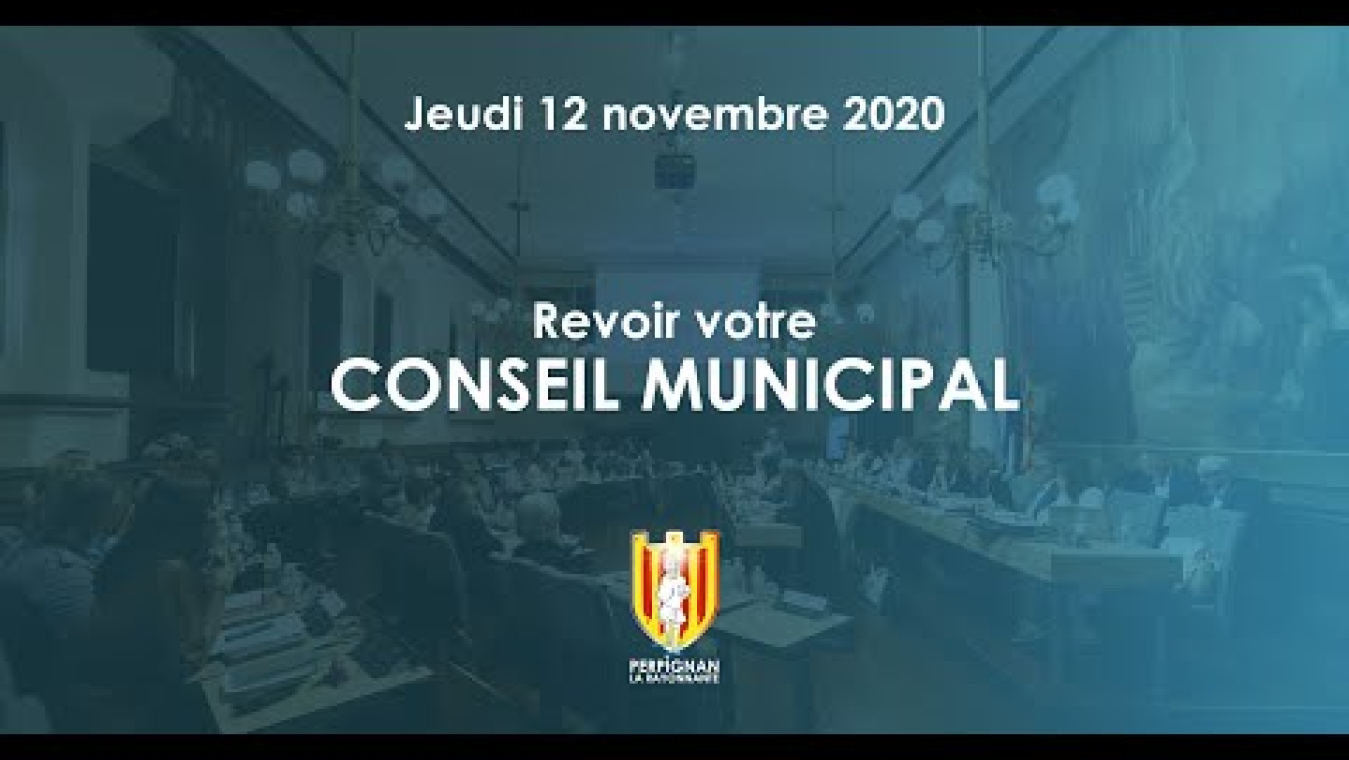Image d'aperçu de la vidéo "Conseil municipal du 12 novembre 2020".