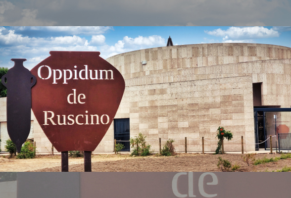Photo N°1 : EXPOSITION : « APRÈS RUSCINO ET AVANT PERPIGNAN : CHÂTEAU-ROUSSILLON »