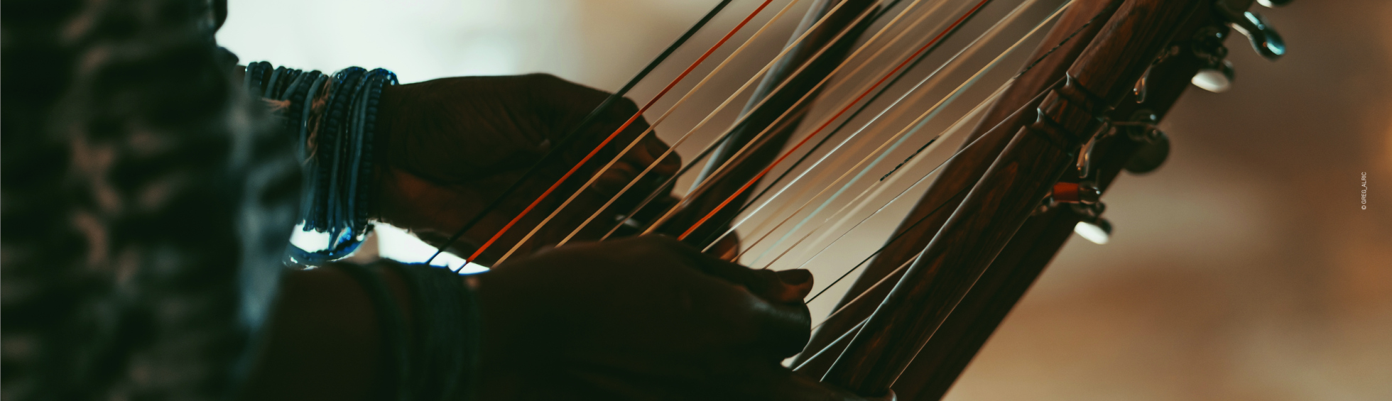 5 Avril • Le cinéma des tout-petits