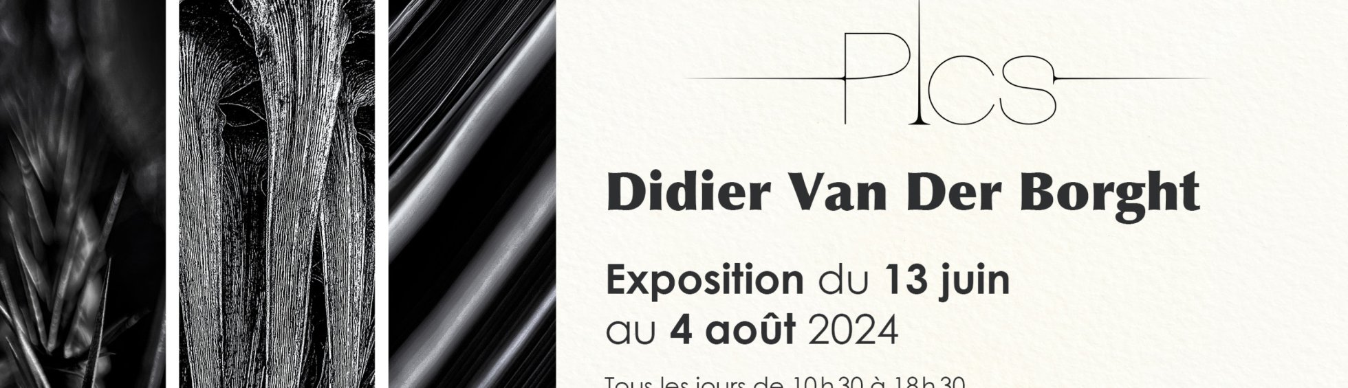 Didier Van Der Borght expose cet été !