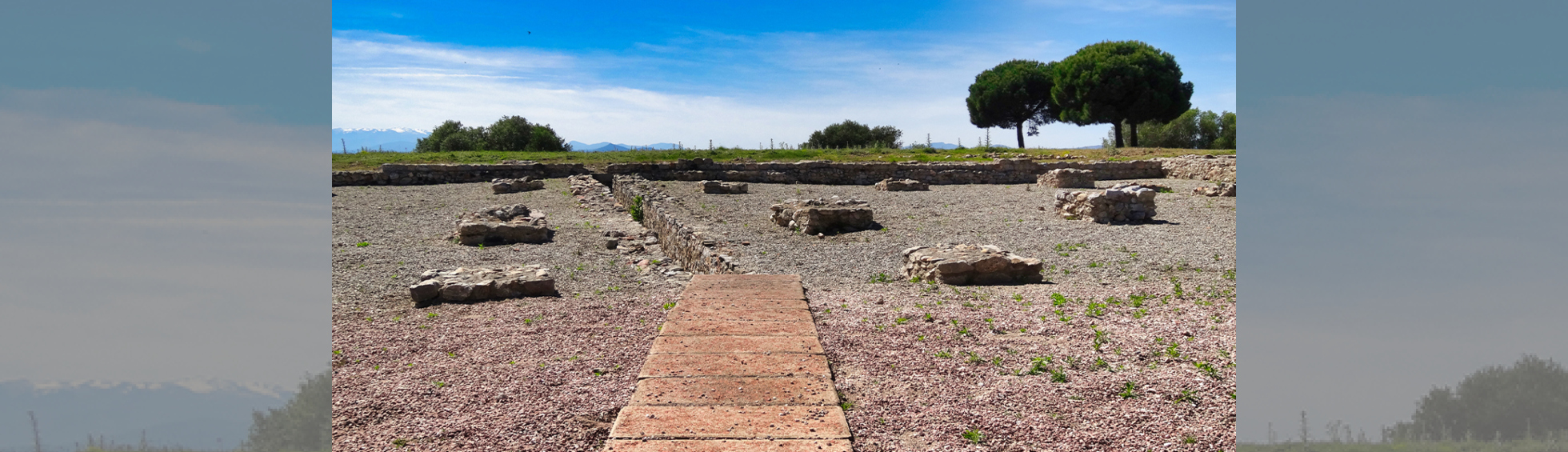 Photo N°3 : VISITE GUIDÉE DE RUSCINO