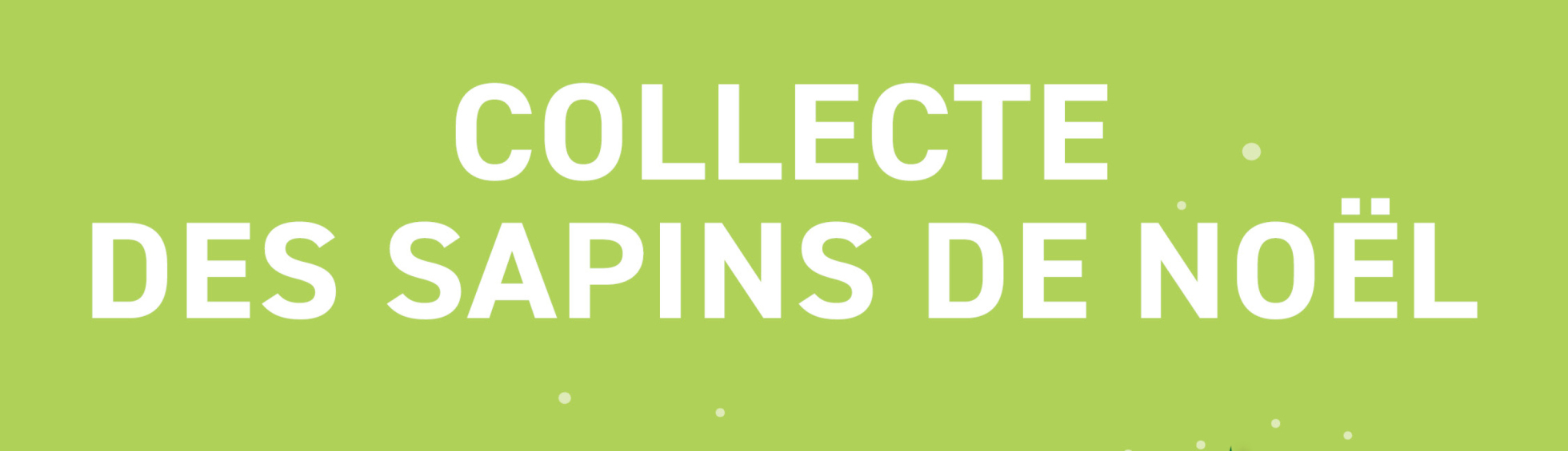 Collecte des sapins de Noël