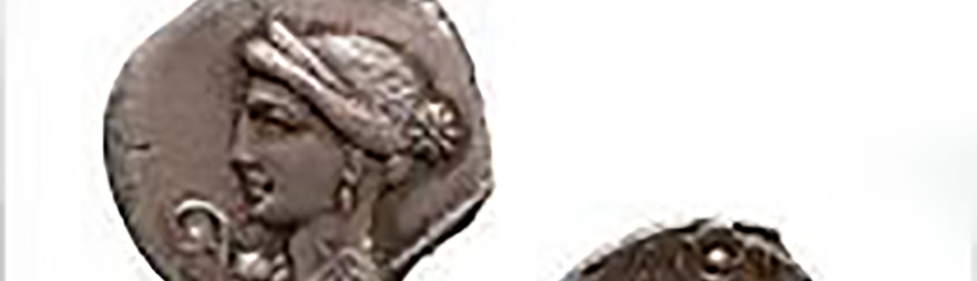 Association numismatique du Roussillon
