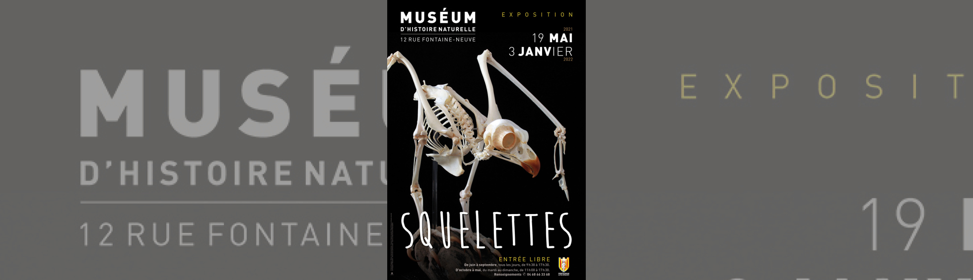 Muséeum - exposition "Squelettes"