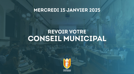 Séance du 15 janvier 2025